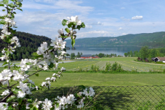 utsikt
