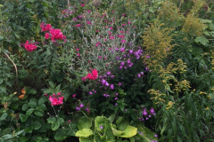 valstad-blomster