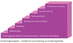 Ernæringstrappen 608x305